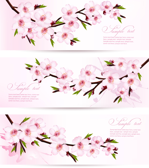 500x564 Pink Sakura Banner Vector Free Over Millions Vectors, Stock