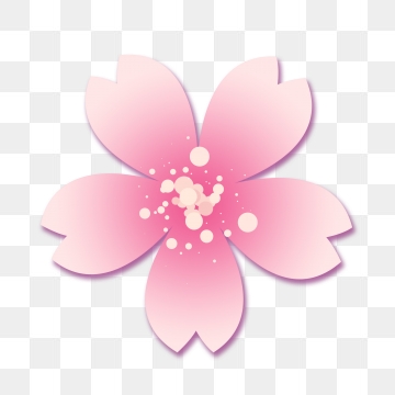 360x360 Sakura Png, Vector, And Clipart With Transparent Background