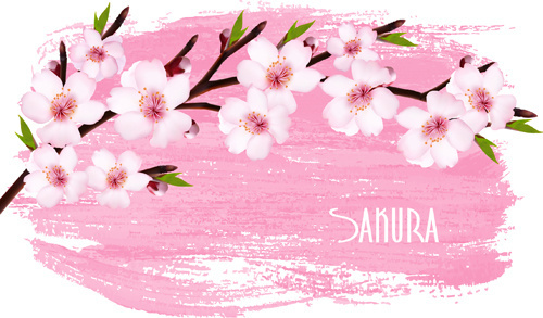 500x293 Sakura Free Vector Download