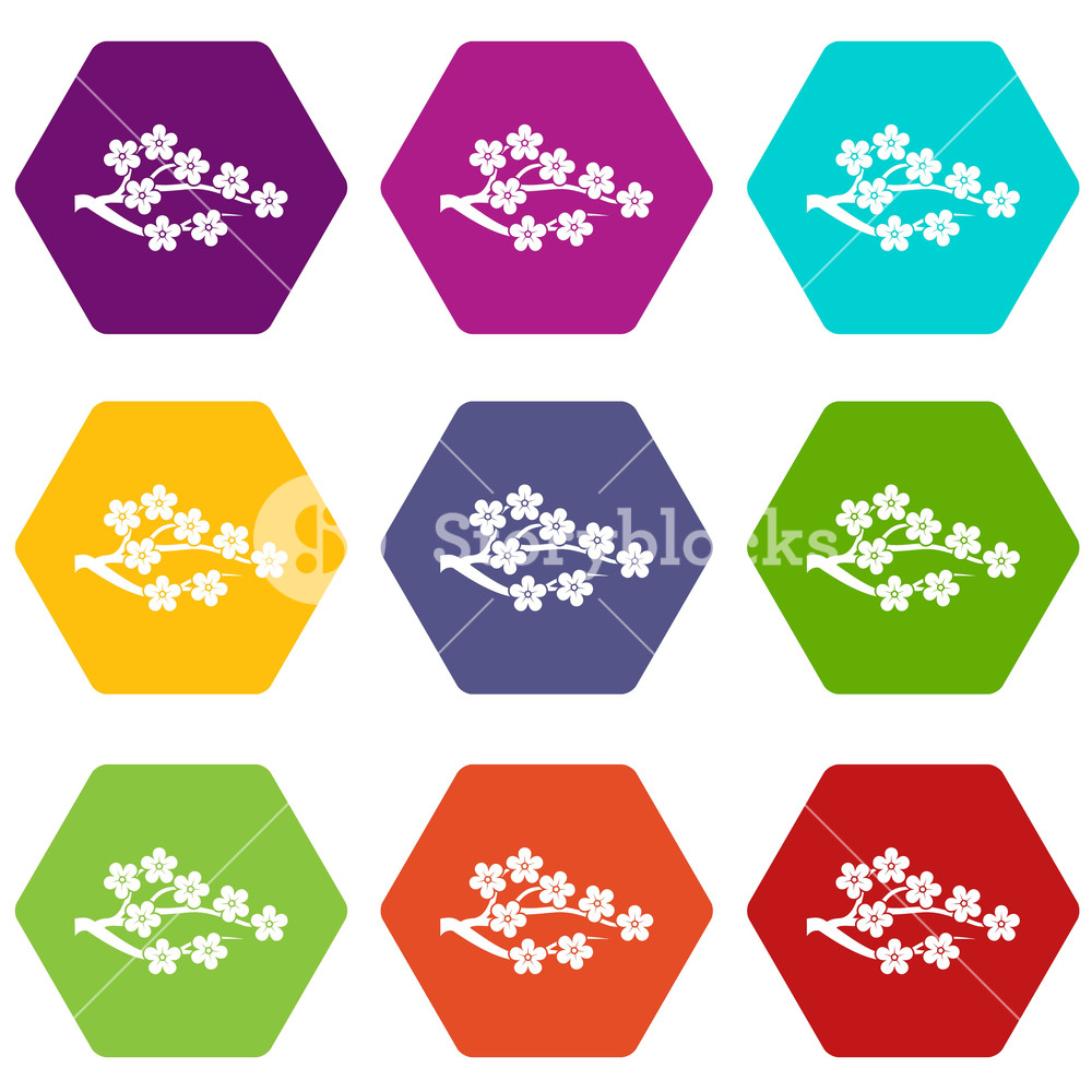 1000x1000 Sakura Icon Set Many Color Hexahedron Isolated On White Vector