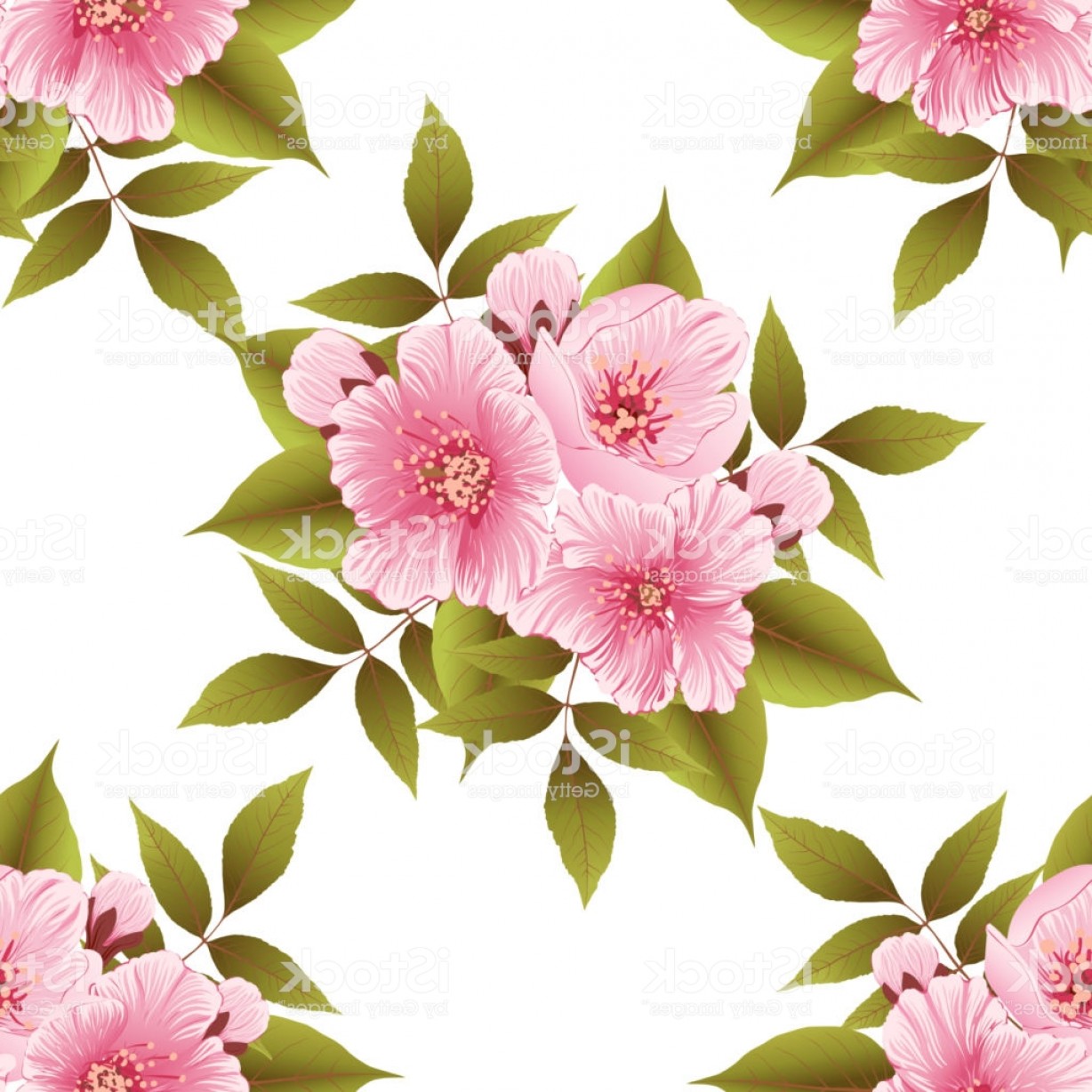 1228x1228 Vector Sakura Flower Seamless Pattern Element Elegant Cherry