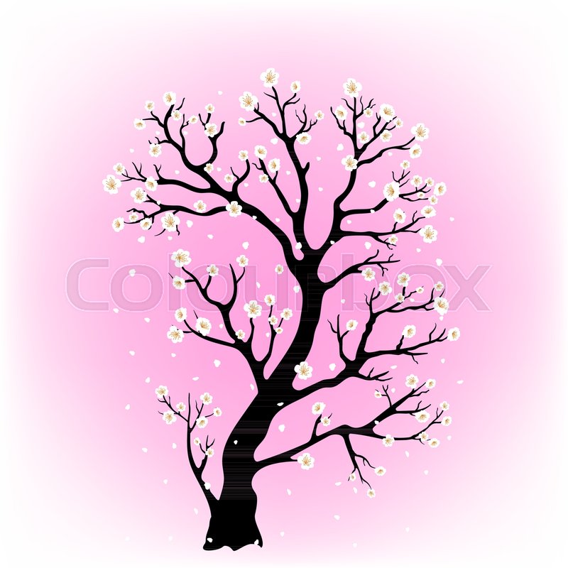 Illustration Of A Blooming Sakura Tree Stock Vector Colourbox 800x800 Illustration Of A Blooming Sakura Tree Stock Vector Colourbox