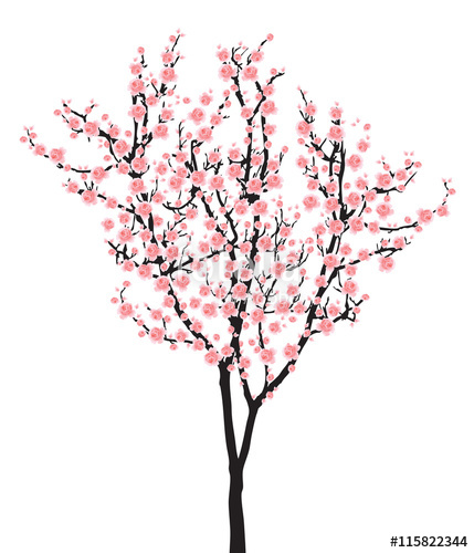 One Pink Full Bloom Sakura Tree 429x500 One Pink Full Bloom Sakura Tree