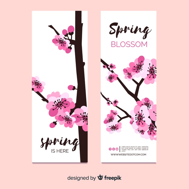Sakura Tree Spring Banner Vector Free Download 626x626 Sakura Tree Spring Banner Vector Free Download