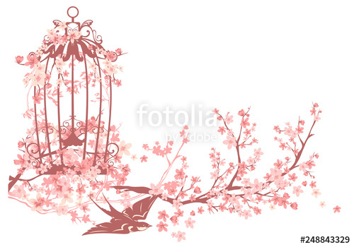 Swallow Bird, Open Cage And Blooming Sakura Tree Branches 500x350 Swallow Bird, Open Cage And Blooming Sakura Tree Branches