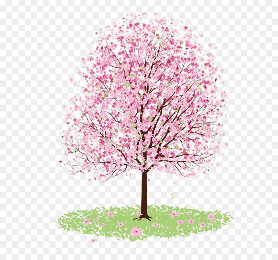 Cherry Blossom Tree Png Hd Transparent Cherry Blossom Tree Hd 900x840 Cherry Blossom Tree Png Hd Transparent Cherry Blossom Tree Hd