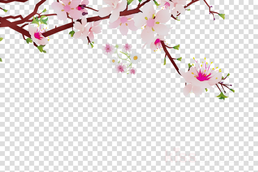 900x600 Flowers Clipart Background Clipart