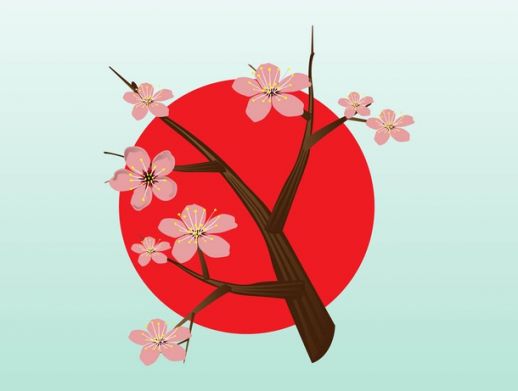 518x391 Sakura Vector