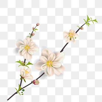 360x360 Watercolor Sakura Frame Background With Blossom Cherry