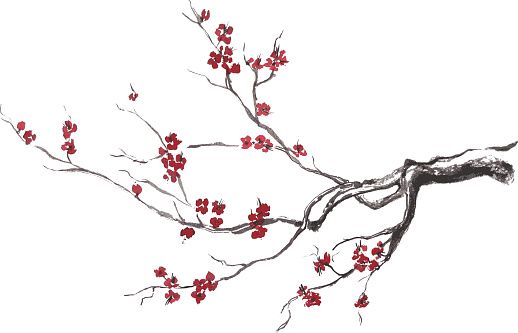 518x333 Sumi E Sakura Vector Art Illustration Bedroom Cherry Blossom