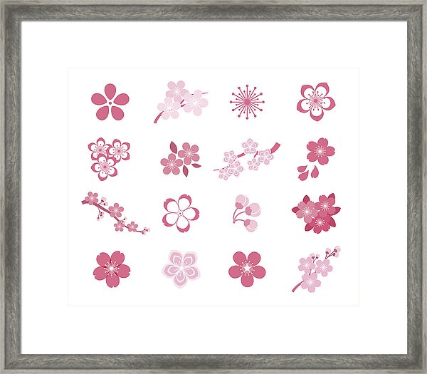 600x525 Cherry Blossom Japanese Sakura Vector Icon Set Framed Print