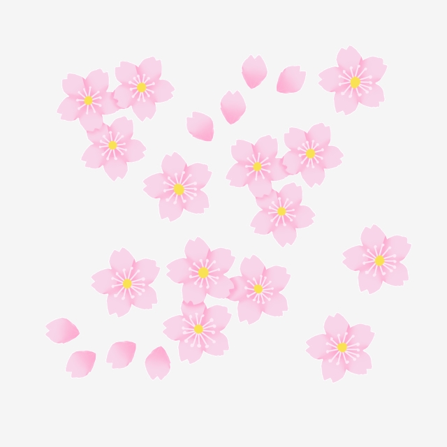 640x640 Cherry Blossom Vector Material, Cherry Blossom Vector Material