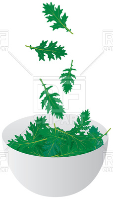 228x400 Arugula Leaves Falling Into The Salad Bowl Vector Image Of Food