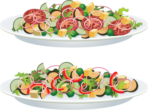 480x358 Salad Vector Free Vector Download