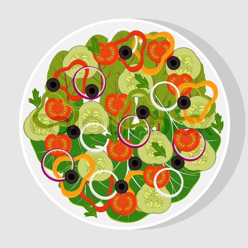 Download Salad Vector at Vectorified.com | Collection of Salad ...