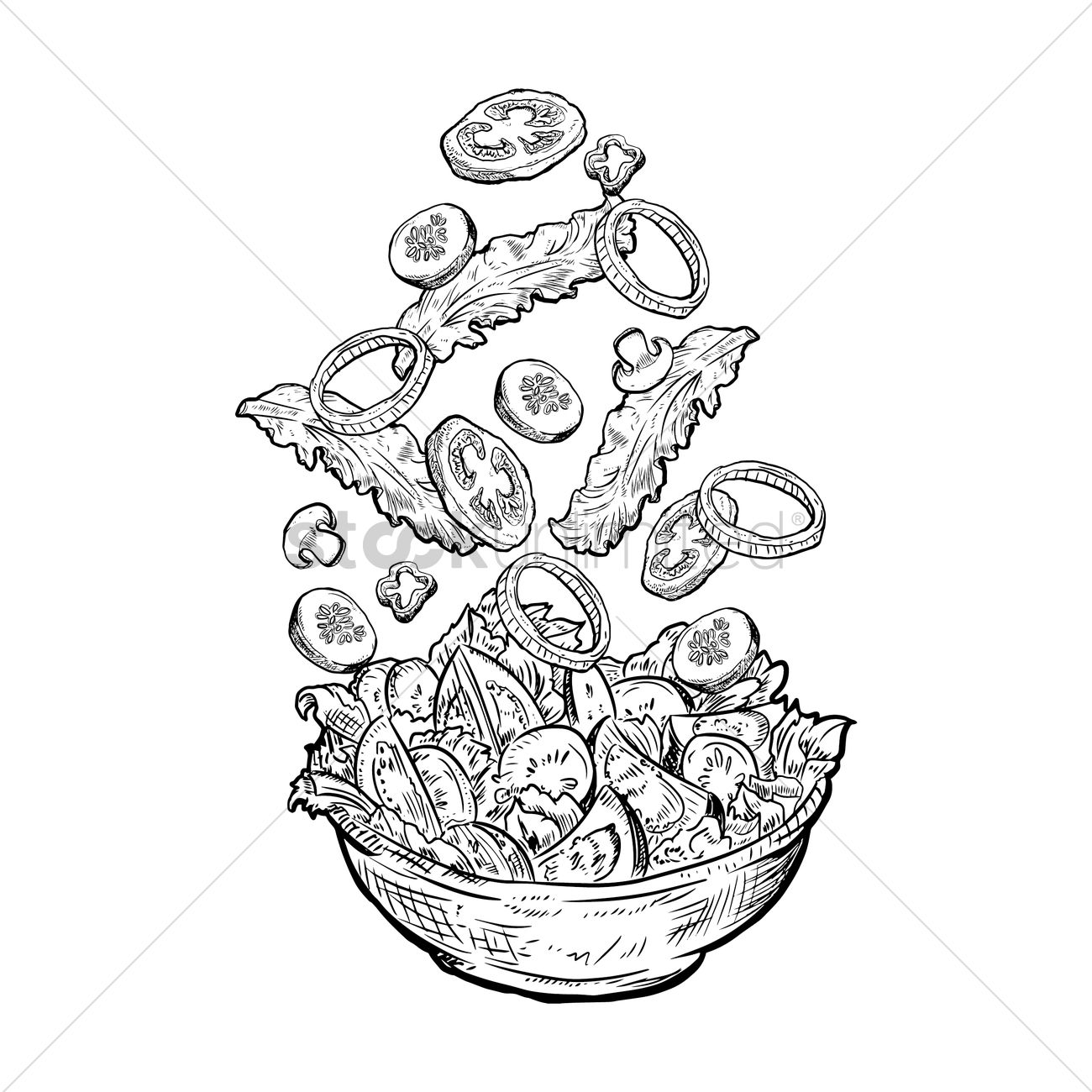 Salad Vector at Vectorified.com | Collection of Salad Vector free for ...