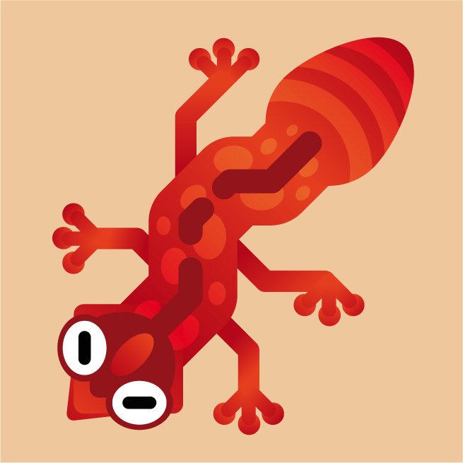 655x655 Maciej Matt Ruszala On Twitter Salamander
