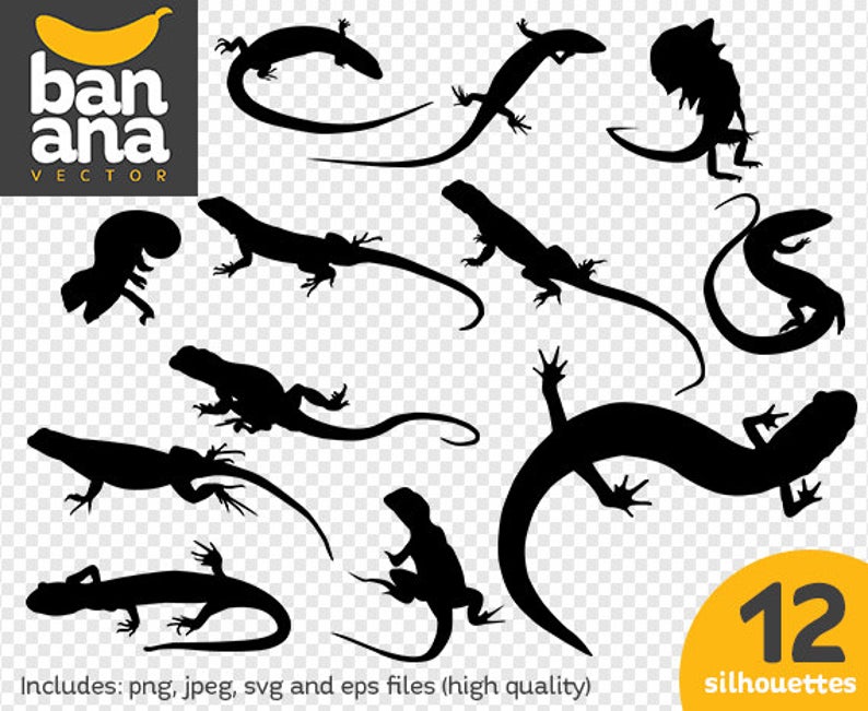 794x651 Sale Salamander Silhouette Png High Etsy