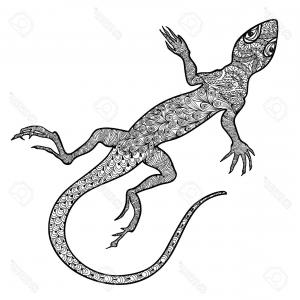 300x300 Salamander Icon Outline Illustration Of Salamander Vector Icon