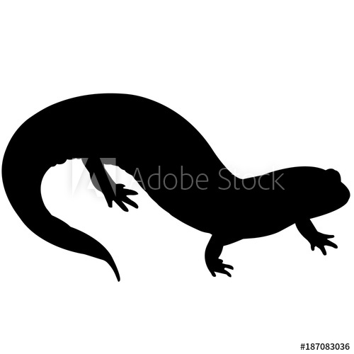 500x500 Salamander Silhouette Vector Graphics