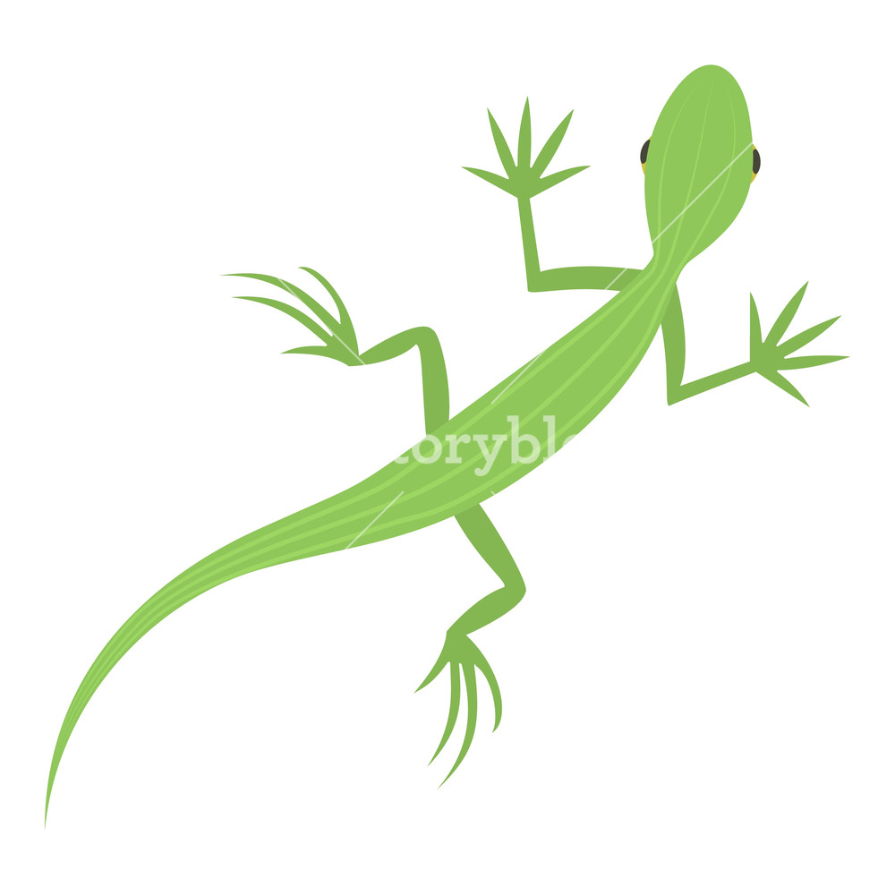 1000x1000 Salamander Icon Cartoon Illustration Of Salamander Vector Icon