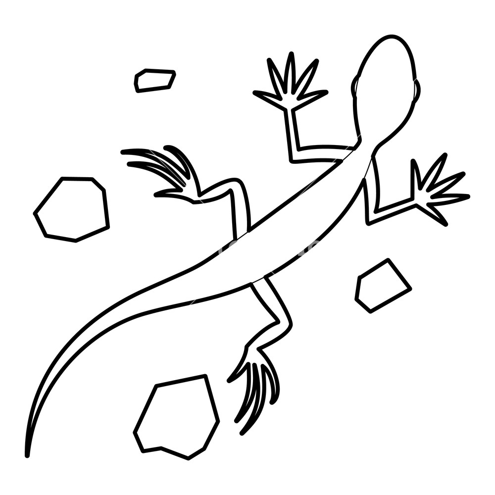 1000x1000 Salamander Icon Outline Illustration Of Salamander Vector Icon