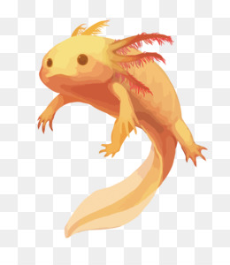 260x300 Salamander Png Free Download