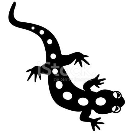440x440 Vector Salamander In Black And White Stock Vector