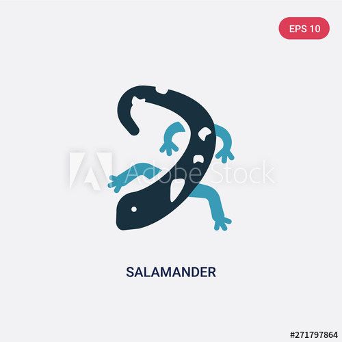 500x500 Two Color Salamander Vector Icon From Animals Concept Isolated