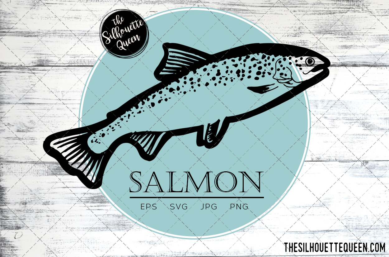 1250x825 Hand Drawn, Sketched Salmon Fish Vector