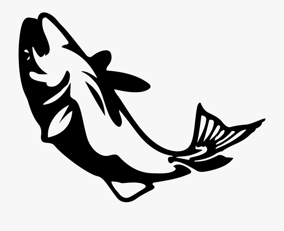 920x749 Salmon Clipart Skeleton