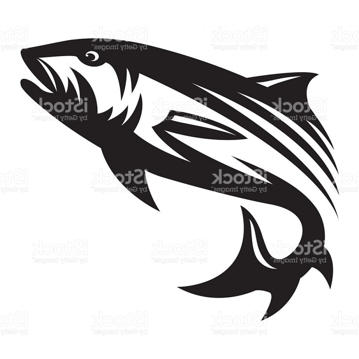 1228x1228 Salmon Fish Illustration Vector Gm Createmepink