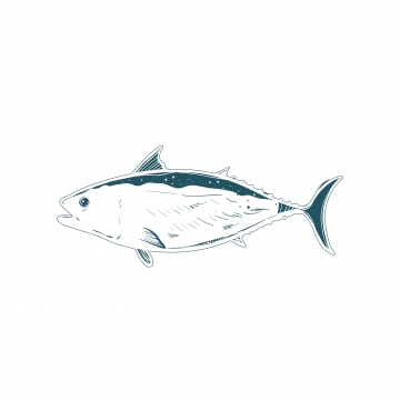 360x360 Salmon Fish Png Images Vector And Free Download