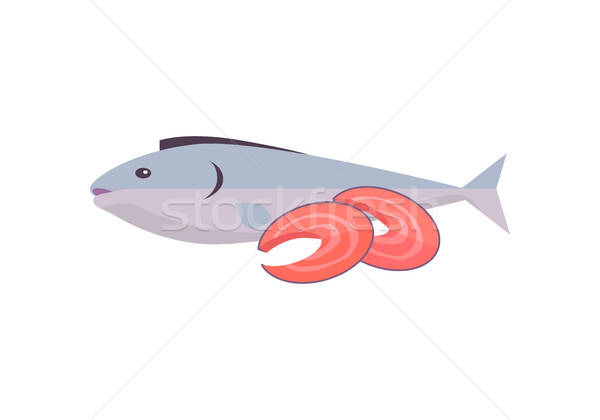 600x420 Salmon Fish Vector Illustration In Flat Design Vector