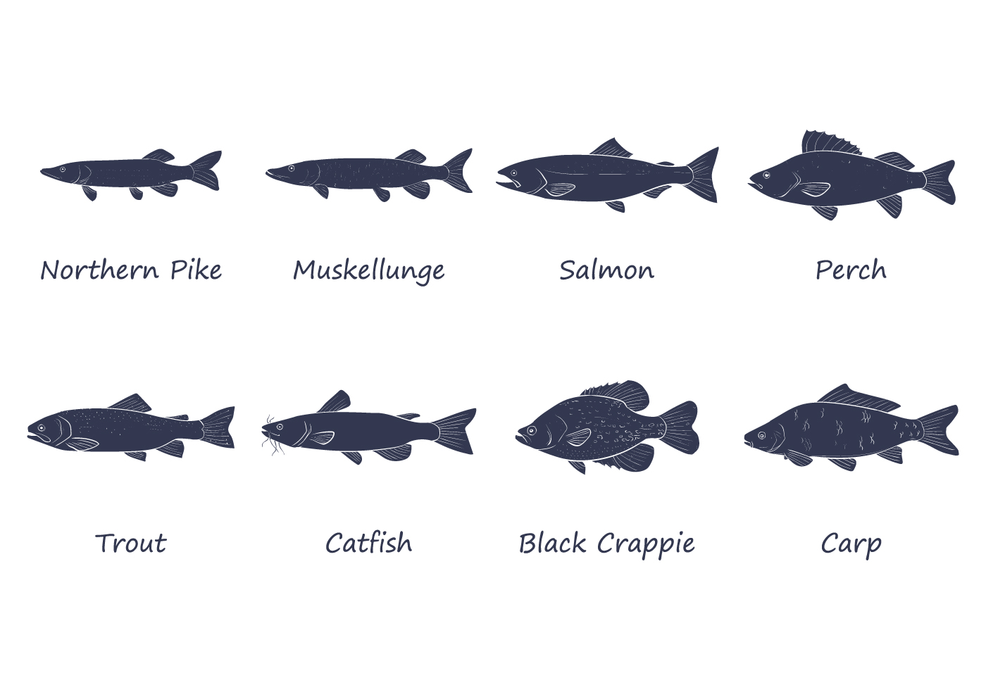 1400x980 Salmon Free Vector Art