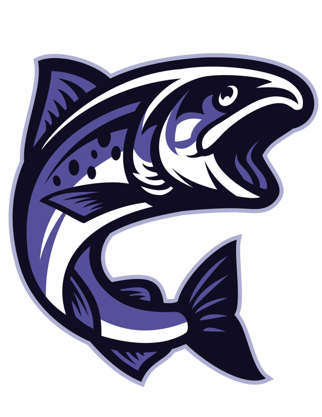 626x810 Salmon Fish Vector Premium Download