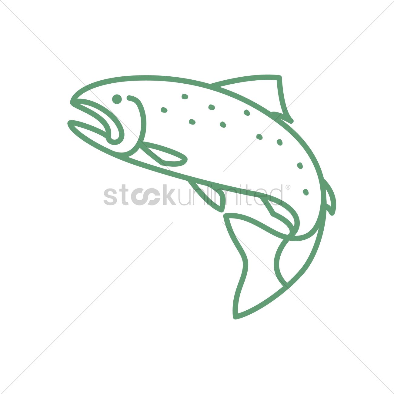 1300x1300 Salmon Fish Vector Image
