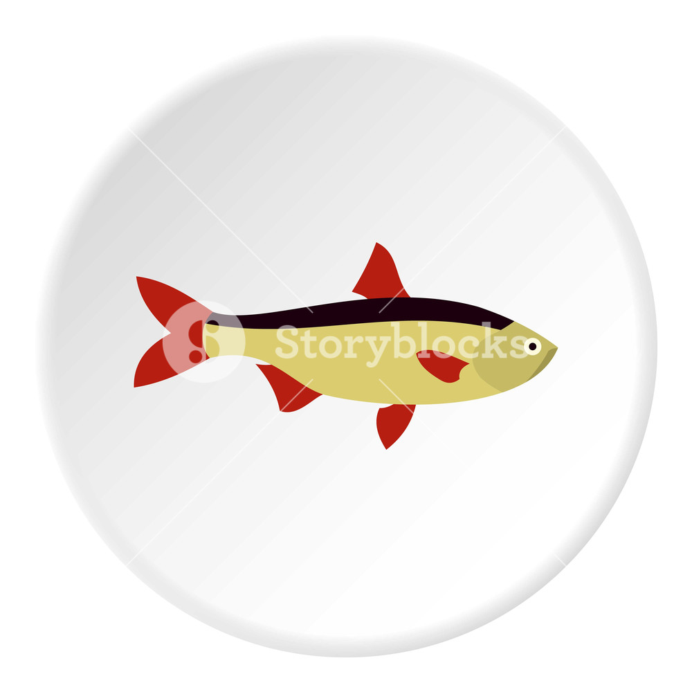 1000x1000 Salmon Fish Icon Flat Illustration Of Salmon Fish Vector Icon