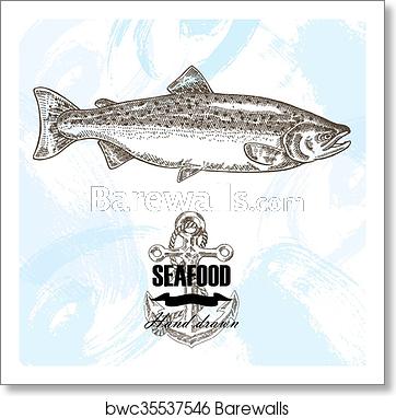 362x382 Vintage Seafood Sketch Background Hand Drawn Salmon Fish Vector