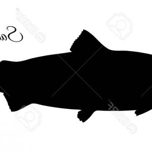 300x300 Photostock Vector Fish Vector Silhouette Template Salmon