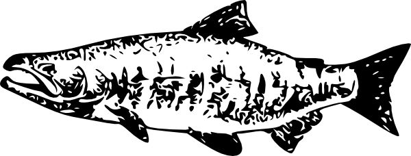600x228 Salmon Clipart Black And White
