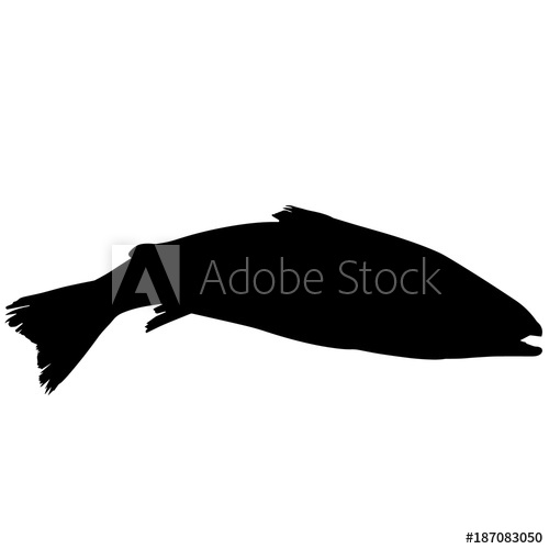 500x500 Salmon Silhouette Vector Graphics