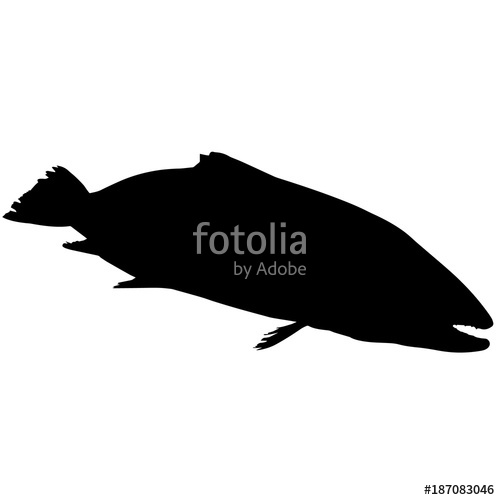 500x500 Salmon Silhouette Vector Graphics Stock Image And Royalty Free