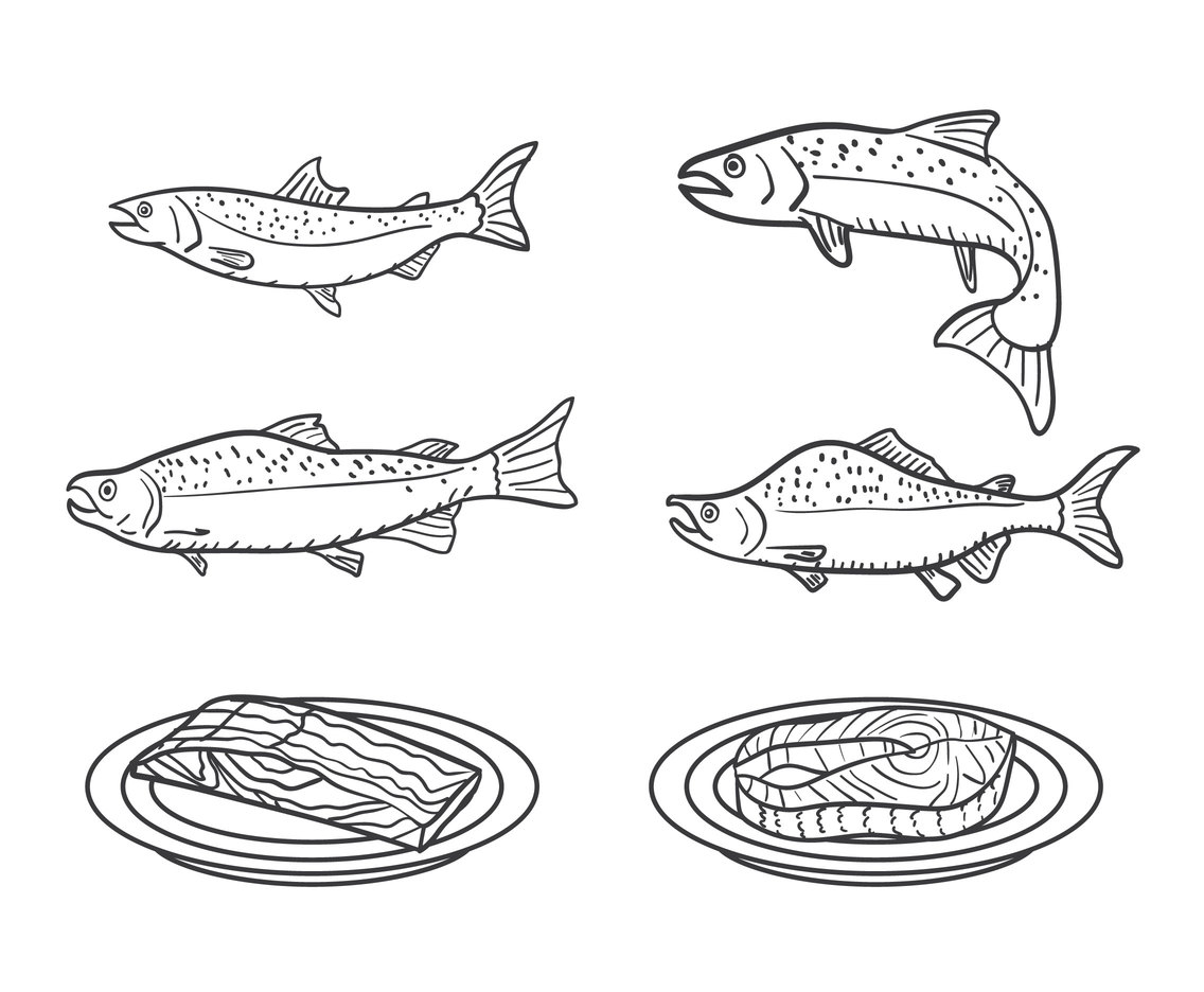 1136x936 Salmon Vector Vector Art Graphics