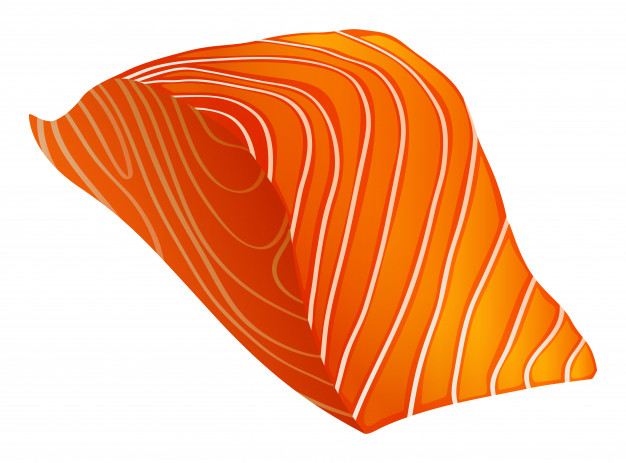 626x463 Salmon Vectors, Photos And Free Download