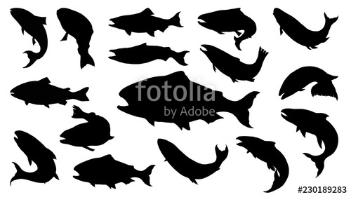500x281 Set Of Salmon Silhouette In Line Art Style Fish Vector