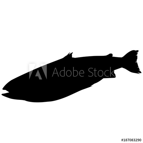 500x500 Sockeye Salmon Silhouette Vector Graphics