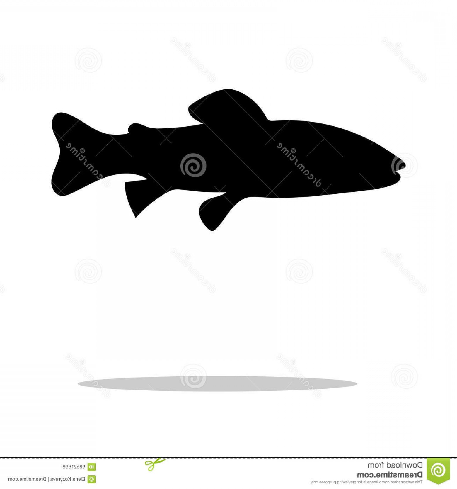 1560x1668 Stock Illustration Salmon Trout Fish Black Silhouette Aquatic
