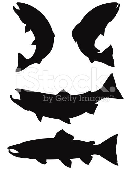 429x556 Vector Illustration Of Salmon And Trout Silhouettes Ca Ndn
