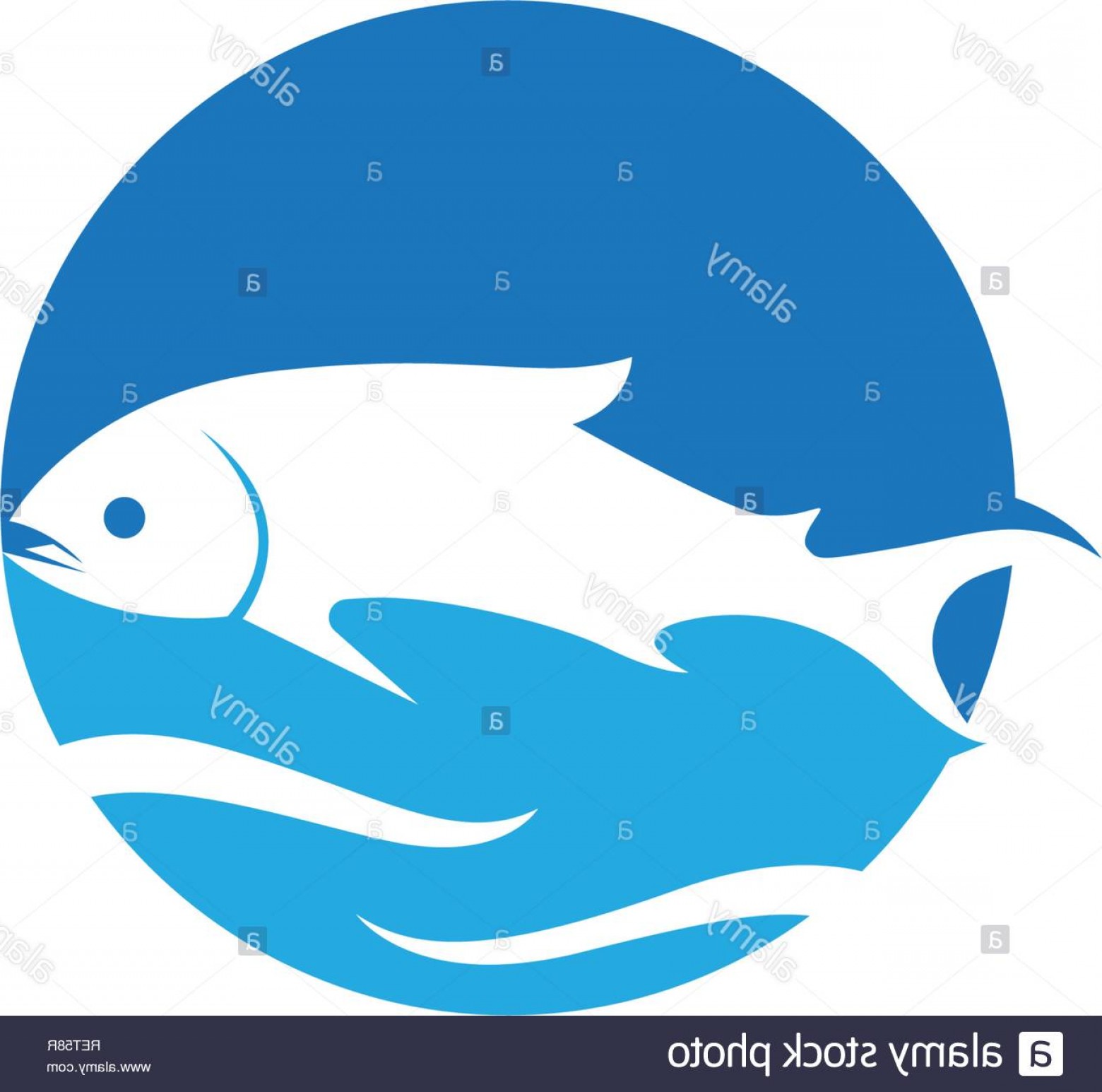 Salmon Silhouette Vector at Vectorified.com | Collection of Salmon ...